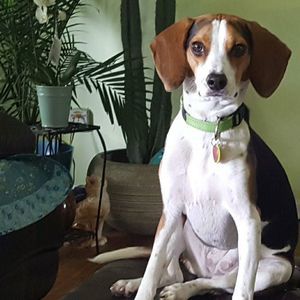 Meet your Posher, Denise